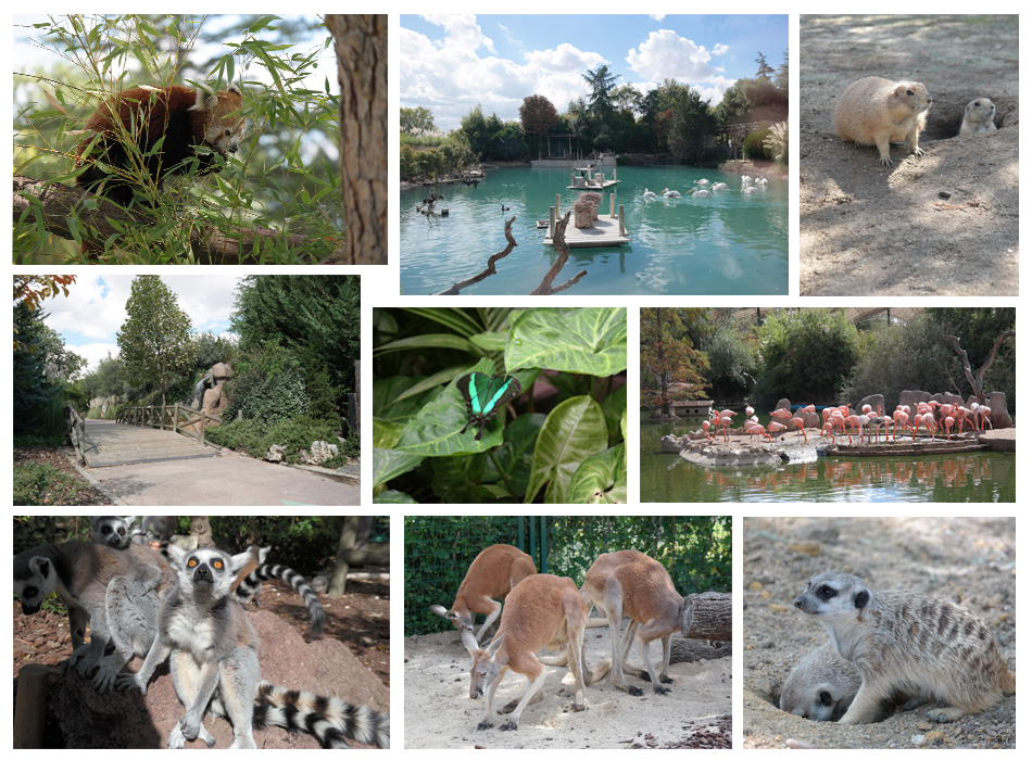 Faunia instalaciones al aire libre