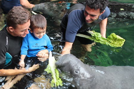 Interacciones con animales en Faunia.