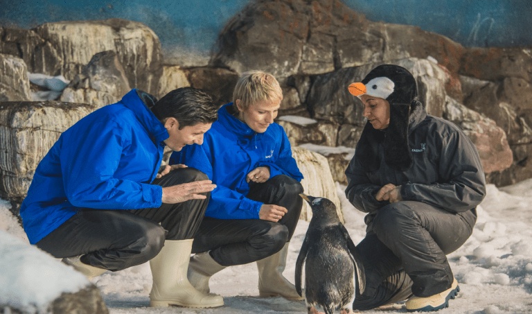 Vive una experiencia única con nuestro ecosistema polar