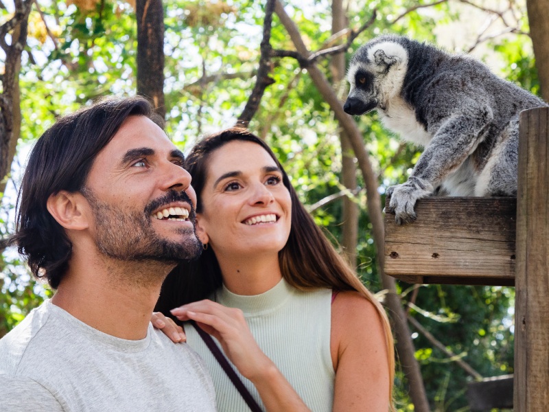 Pedida de mano: sorprende a tu pareja