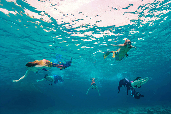 Las Sirenas del Mar visitan Faunia el 23 de septiembre en Faunia