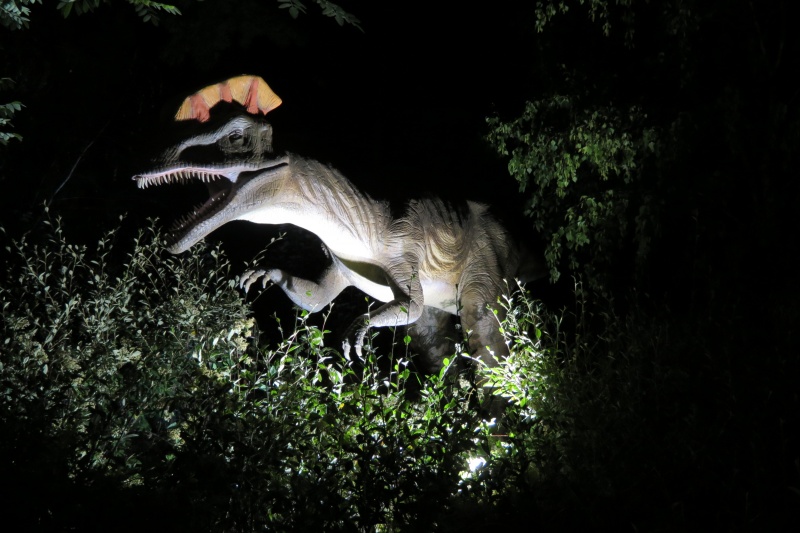 Diplodocus, gigante entre gigantes 