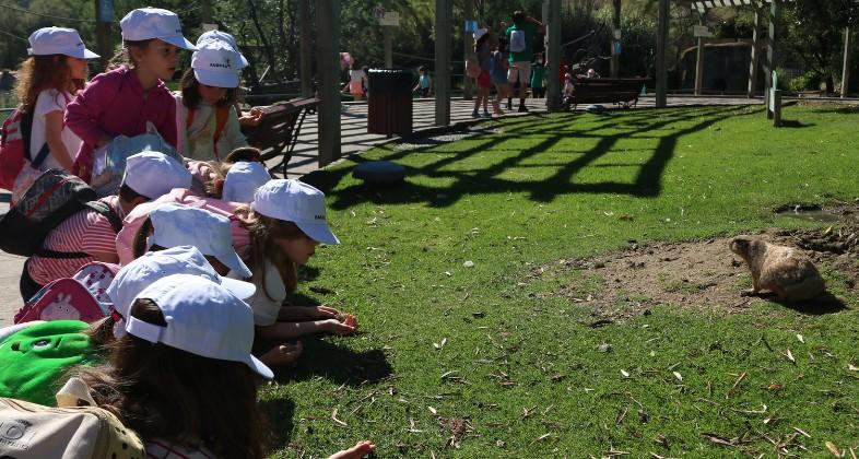 Os compartimos las opiniones de las familias de nuestros campamentos de verano