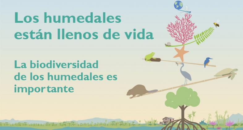 Día Mundial de los Humedales: súmate a nuestra charla didáctica especial
