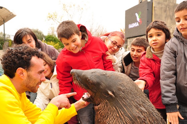 Reciclaje con osos marinos en Faunia