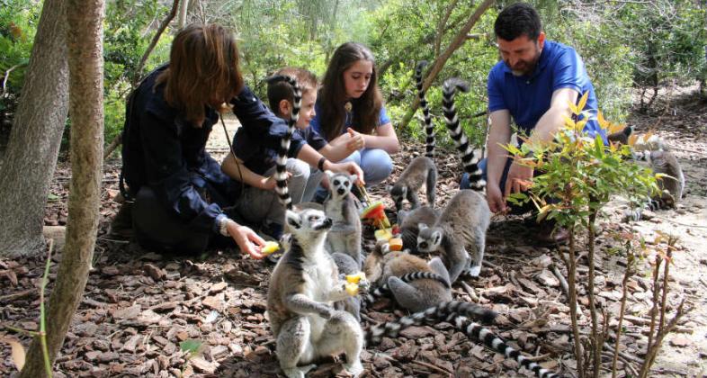 Faunia presenta las nuevas interacciones de invierno