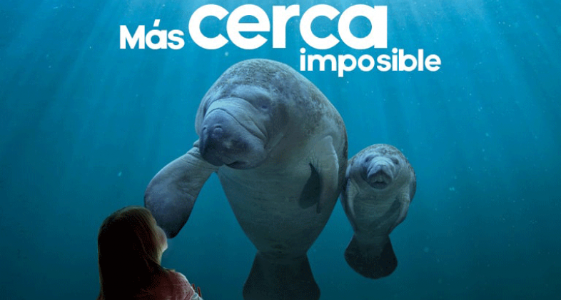 Ven a Faunia y vive una experiencia única