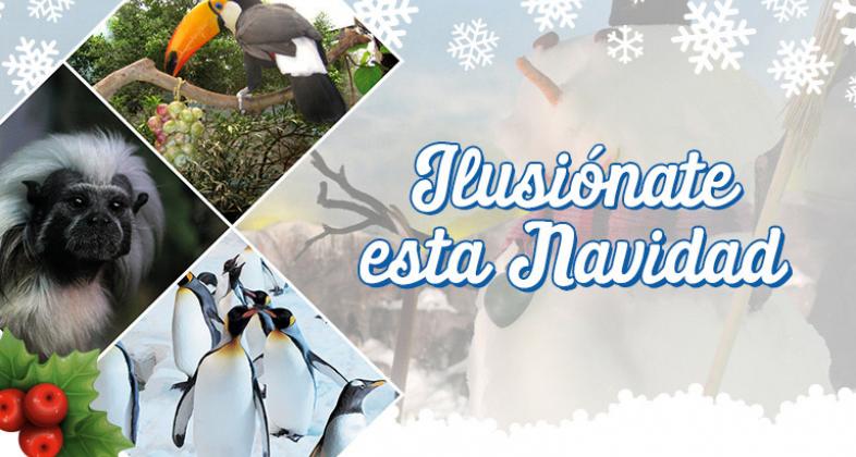Llega la ilusión de la Navidad a Faunia