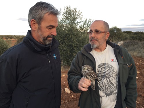 Fundación Parques Reunidos participa en la liberación de dos ejemplares de mochuelo recuperados en el Centro de Rapaces Nocturnas Brinzal