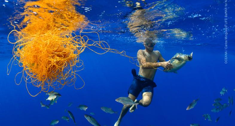 La lucha contra la basura marina, un objetivo común para los acuarios del mundo