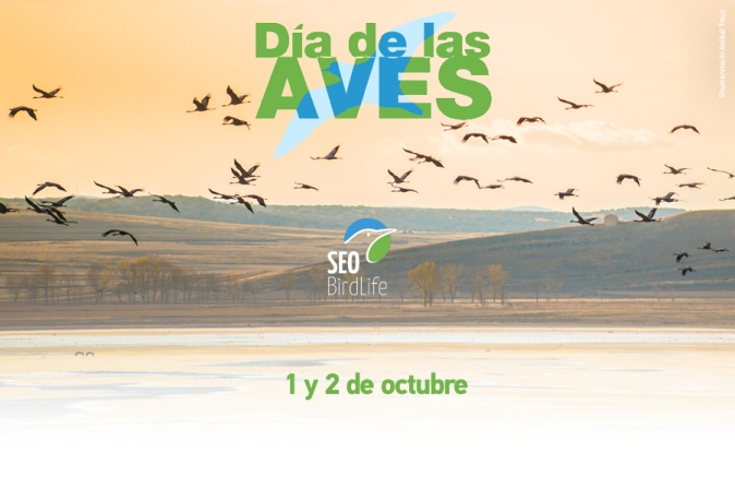 Súmate al Día Mundial de las Aves