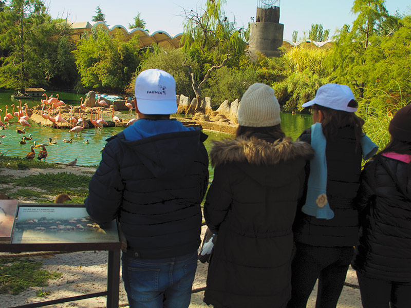 Campamentos de Navidad