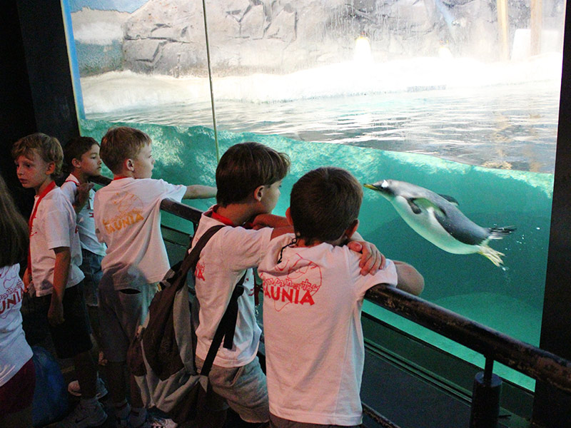 Faunia Visitas Escolares Colegios