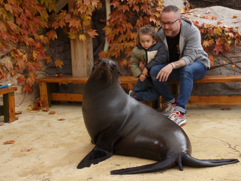 Acércate a nuestros osos marinos