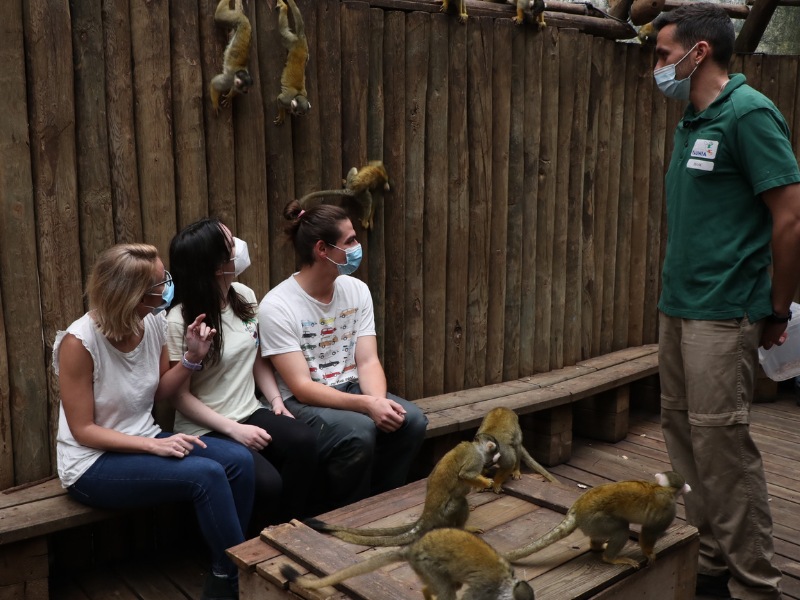 Territorio primate