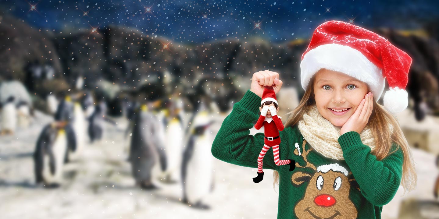 Disfruta de la Navidad en Faunia