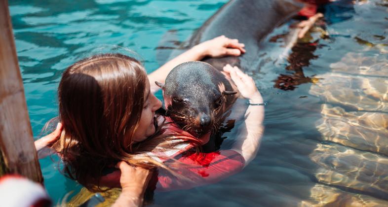 Faunia comienza una nueva temporada de baños con osos marinos