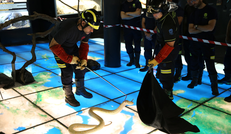 Más de 200 bomberos del ayuntamiento de Madrid se forman en Faunia en el manejo de especies exóticas