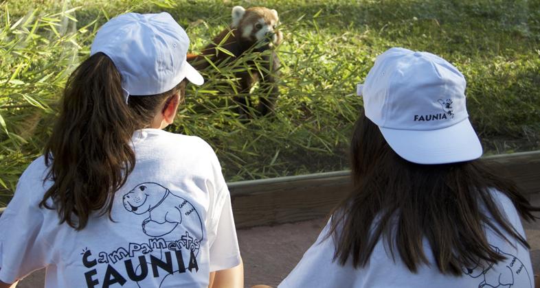 Faunia comienza sus campamentos de verano 2019