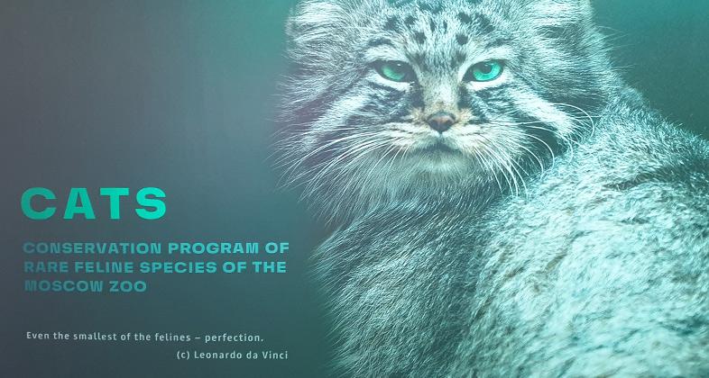 Faunia acoge una exposición fotográfica del Zoo de Moscú de felinos rusos