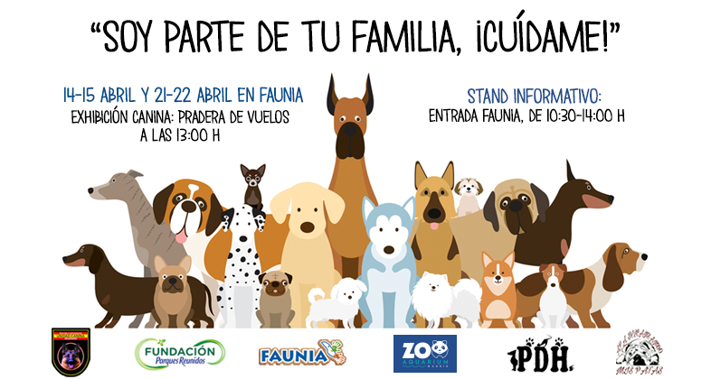 Faunia y Zoo Aquarium de Madrid acogerán jornadas de sensibilización sobre la tenencia responsable de perros