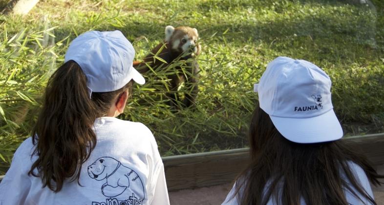 Faunia comienza sus campamentos de verano