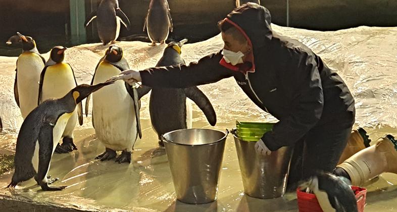 Faunia acerca a los hogares el trabajo de sus cuidadores y veterinarios