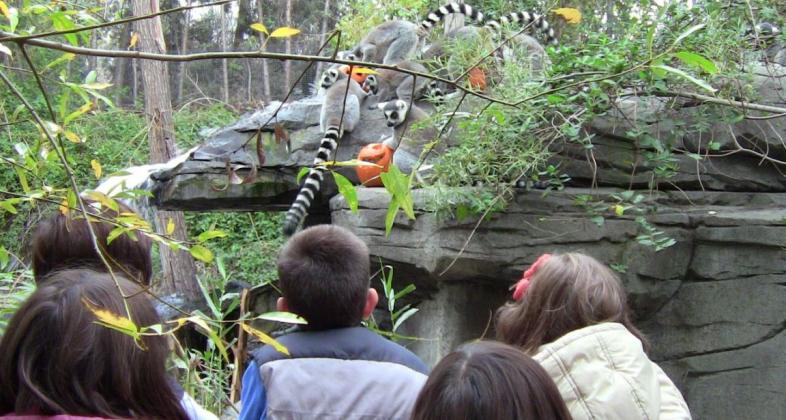 Faunia celebra Halloween entre Misterios Bajo Tierra para pequeños aventureros