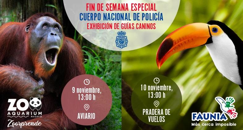 Faunia y Zoo Aquarium de Madrid acogen un fin de semana dedicado a la labor de los Guías Caninos de la Policía Nacional