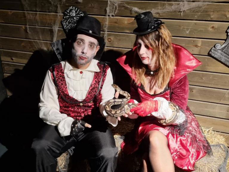 Halloween