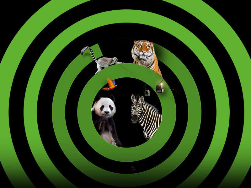 Bono Parques Promociones Black Friday