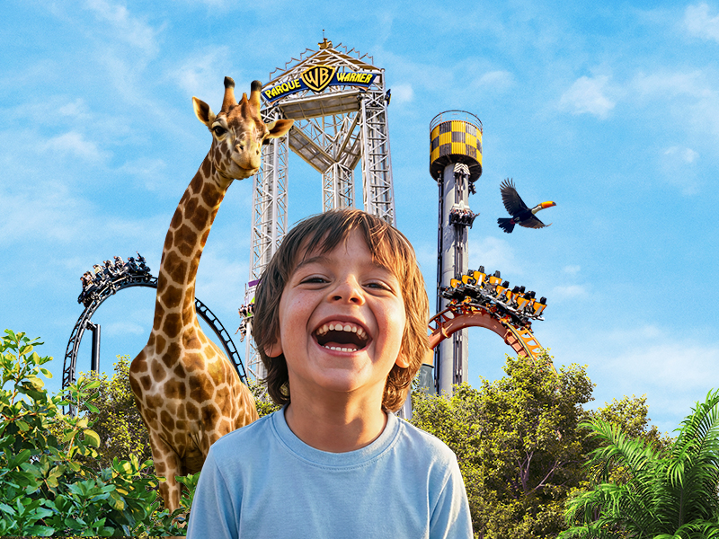 Faunia Crias Suricata