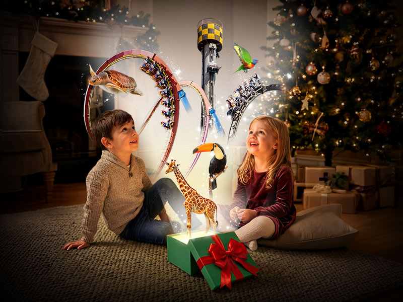 Bono Parques Oferta 2025