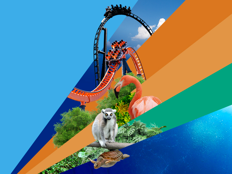 Bono Parques 