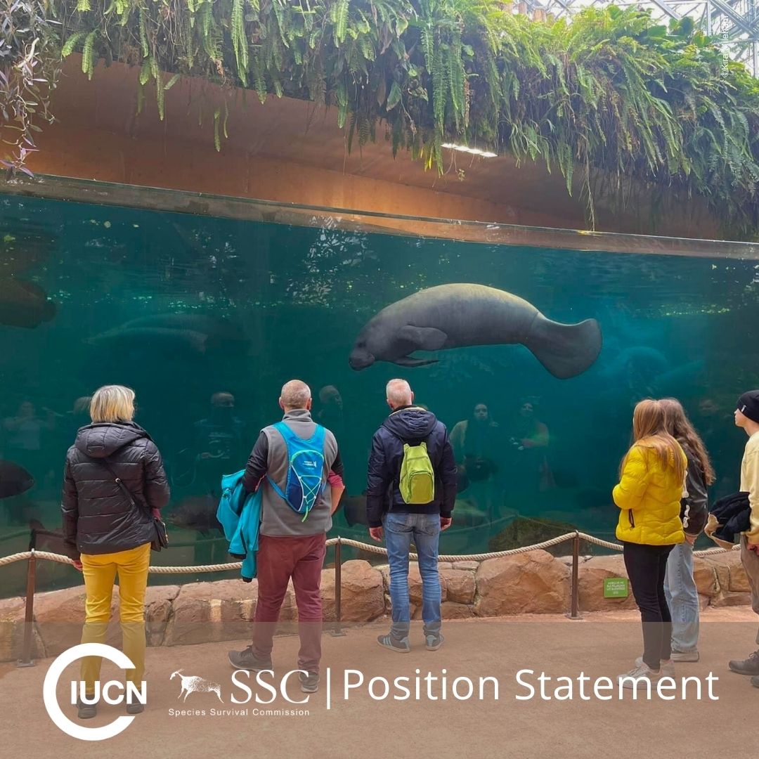 La Comisión para la Supervivencia de las Especies de UICN reconoce la contribución vital de los zoológicos y acuarios a la conservación de las especies y a la prevención de su extinción