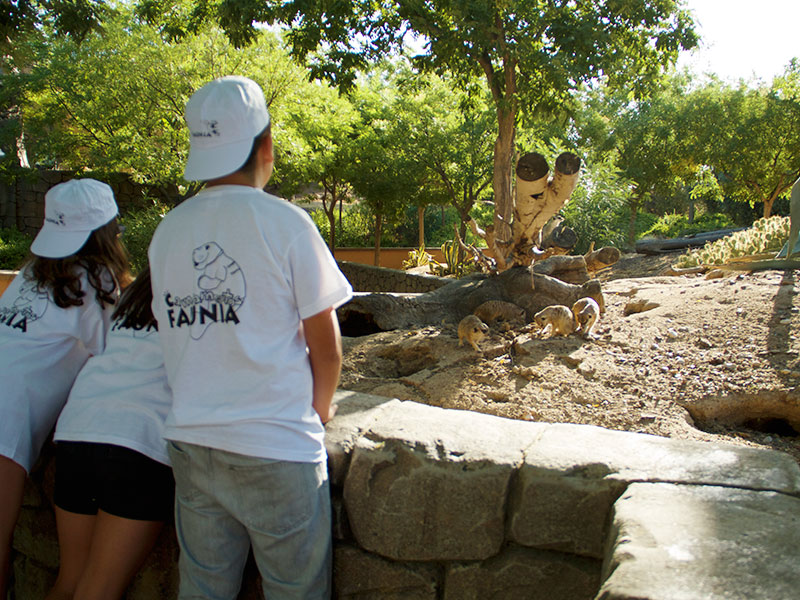 Cuidador en prácticas. Campamentos de verano en Zoo de Madrid