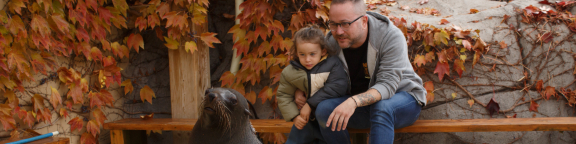 Baños con osos marinos. Interacción con osos marinos en Faunia.